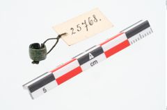 Foto von Bronzering (NHMW-PRAE-025768)